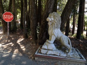 The Lion Stops at the Entrance