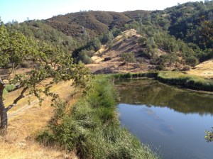 Kelly Lake at 9:00AM