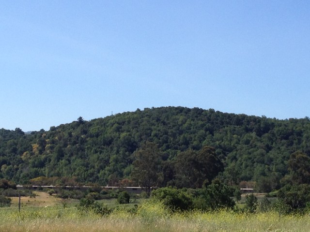 Jasper Ridge Biological Preserve (Stanford University) | AlphaRoaming
